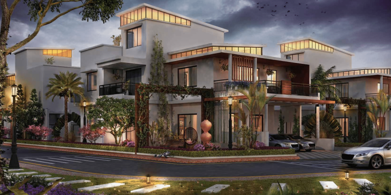 Screenshot 2025-06-04 113925