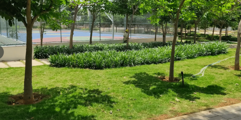 Screenshot 2025-06-19 112154