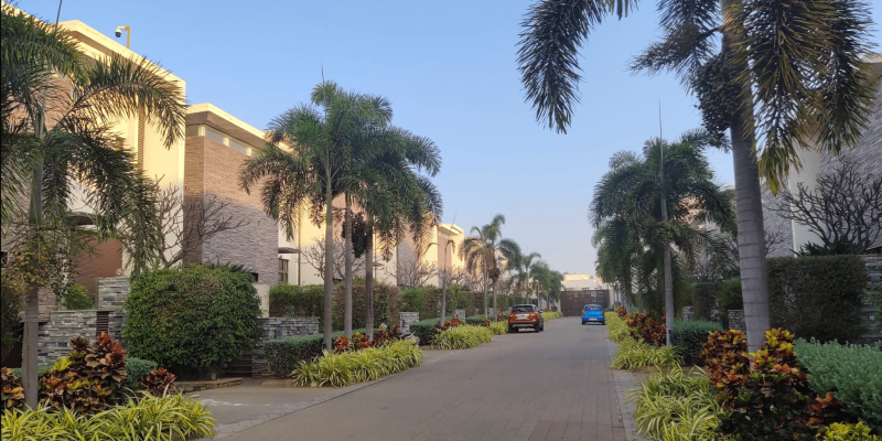 Screenshot 2025-07-02 100155