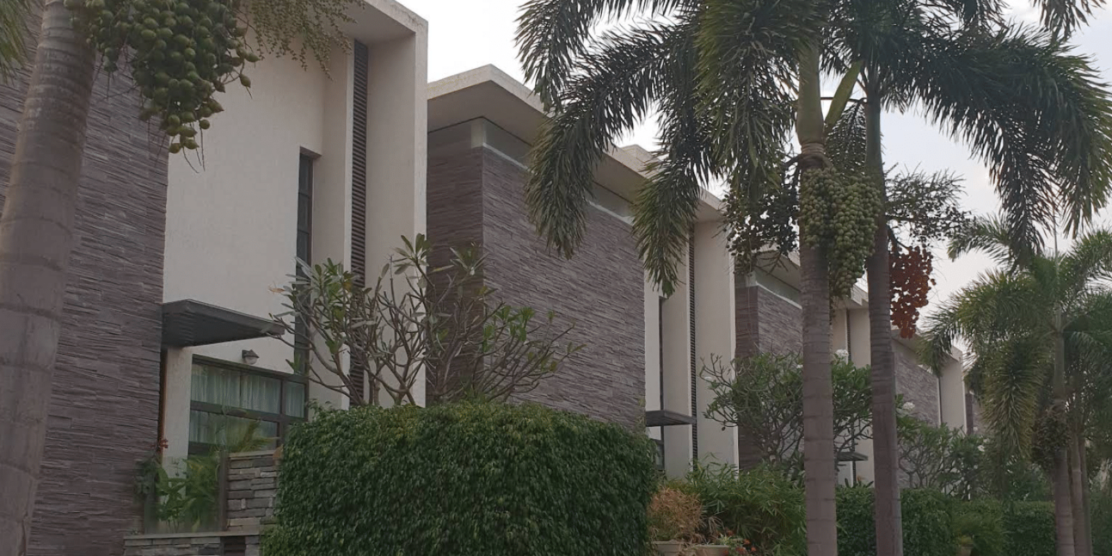 Screenshot 2025-07-02 100234