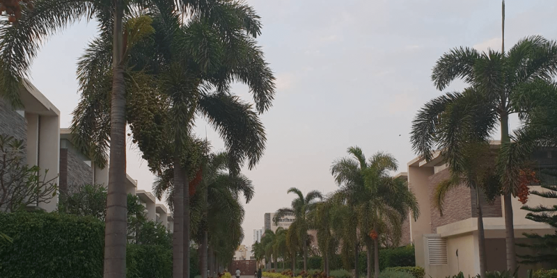 Screenshot 2025-07-02 100313