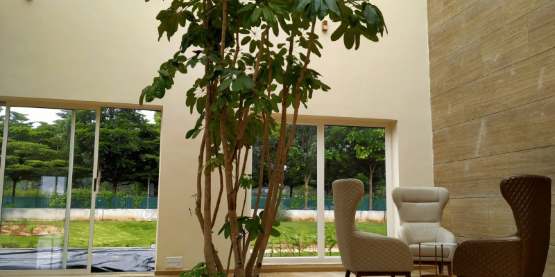 Screenshot 2025-07-02 105408