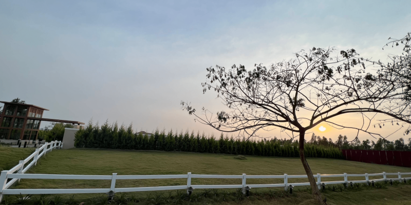 Screenshot 2025-07-02 112405