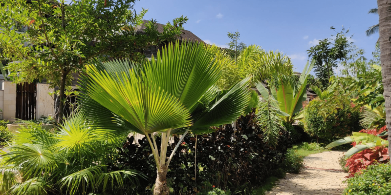 Screenshot 2025-07-02 134129