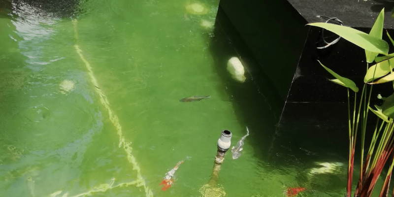 Screenshot 2025-07-02 135146