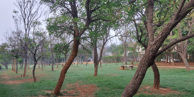 Screenshot 2025-07-02 135827