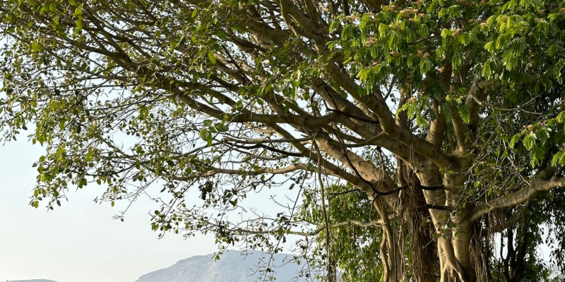 Screenshot 2025-07-03 112218