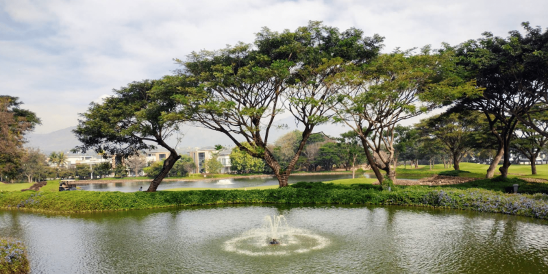 Screenshot 2025-07-03 112233