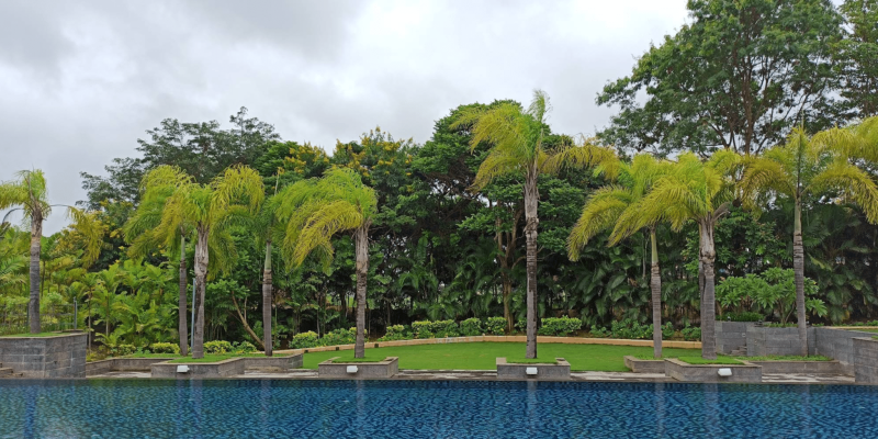 Screenshot 2025-07-03 112246