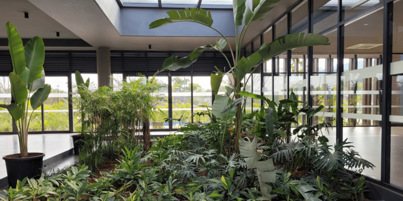 Screenshot 2025-07-03 140544