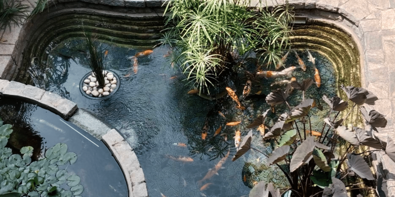 Screenshot 2025-07-05 110814