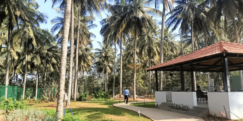 Screenshot 2025-07-05 111650