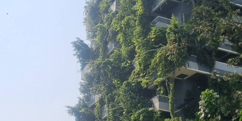 Screenshot 2025-07-05 114550