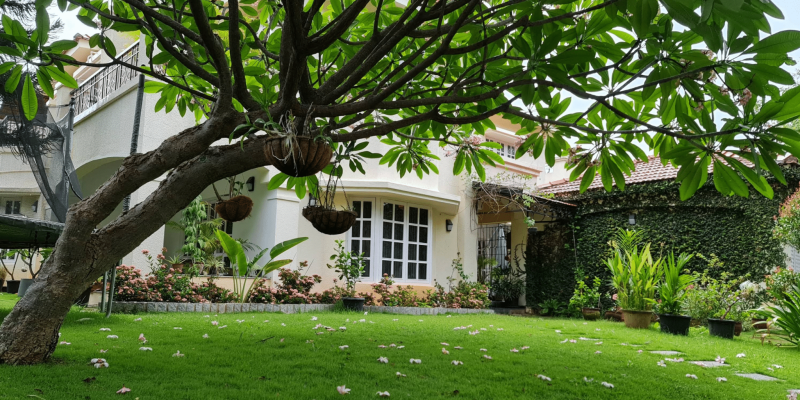 Screenshot 2025-07-05 125459