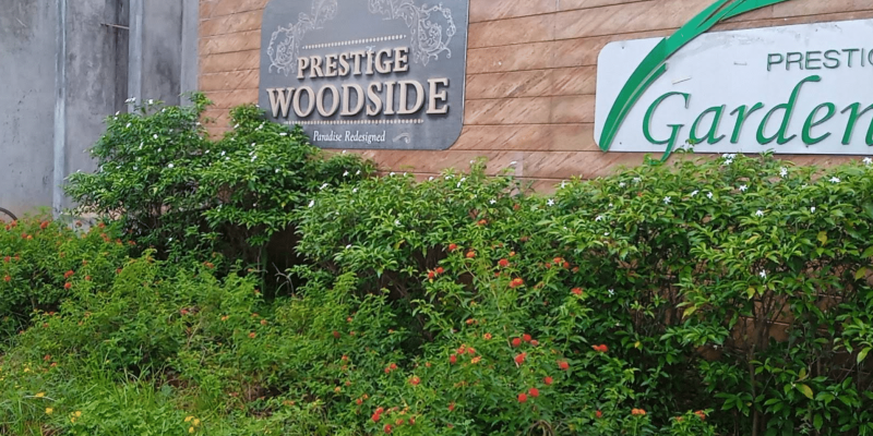 Screenshot 2025-07-05 134248