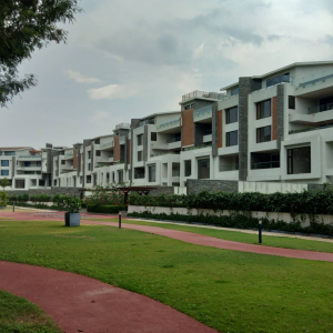 Embassy Grove