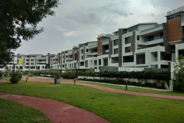 Embassy Grove