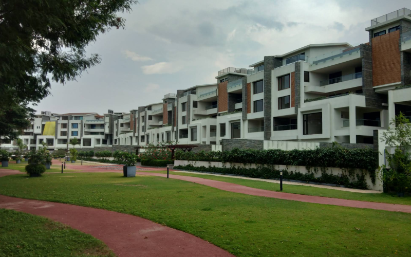 Embassy Grove