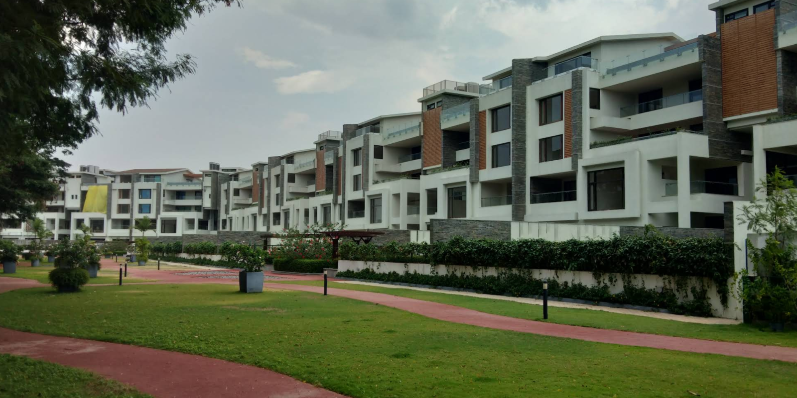 Embassy Grove