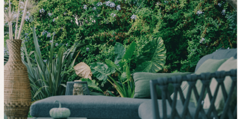 Screenshot 2025-12-29 at 8.24.47 PM