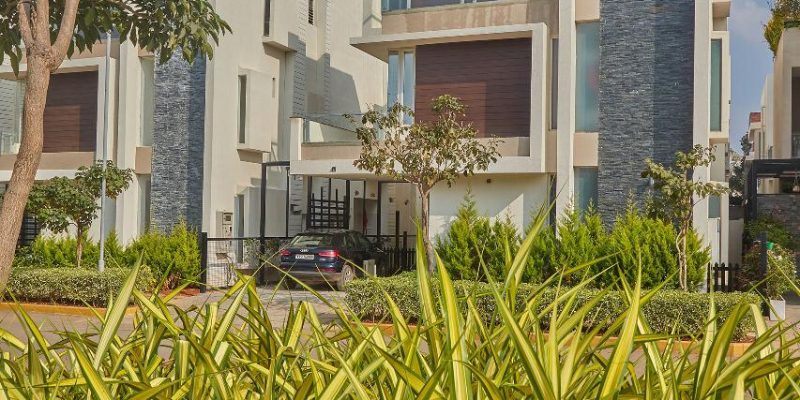 WhatsApp Image 2021-03-28 at 11.20.03 AM