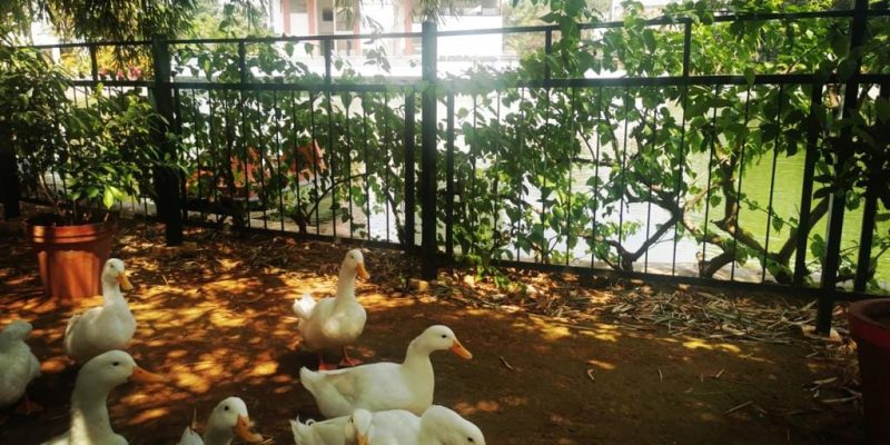 WhatsApp Image 2022-03-30 at 7.40.42 PM