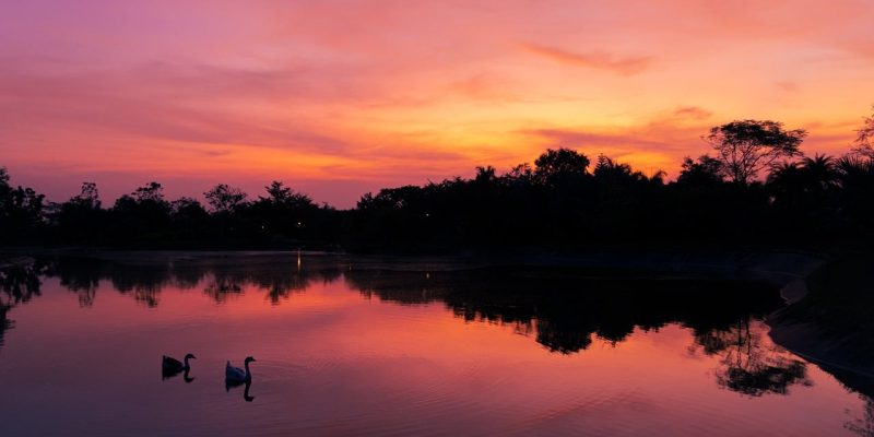 WhatsApp Image 2025-05-09 at 13.38.41