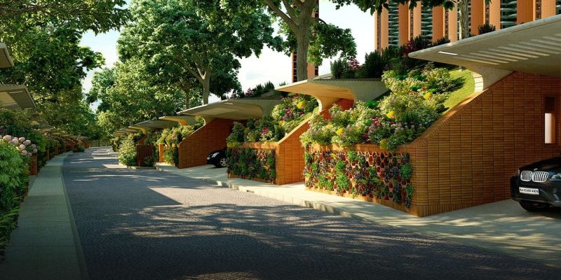 Pursuit Of Radical Rhapsody