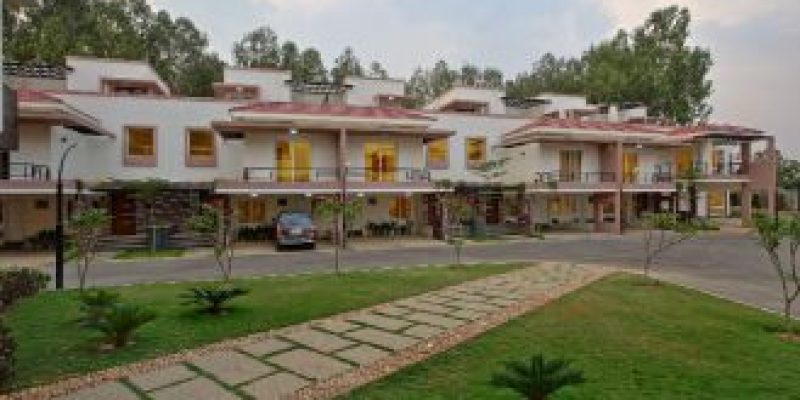 mims-crescenta-1400x933