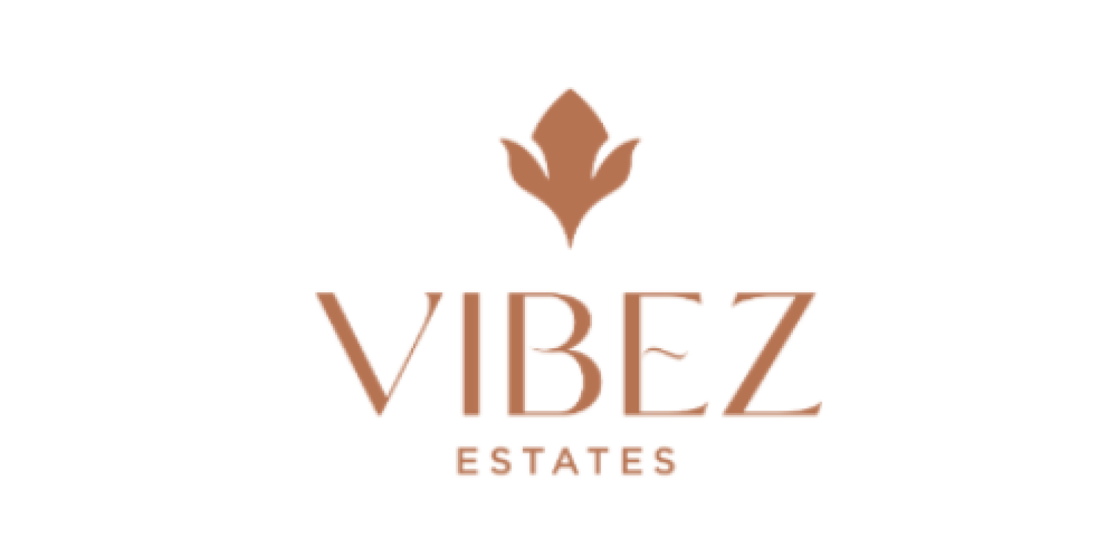 vibez
