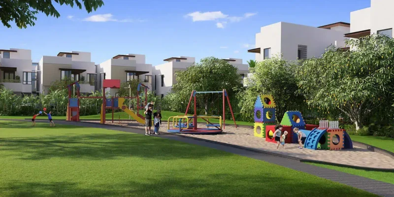 woodsong around the mangoes