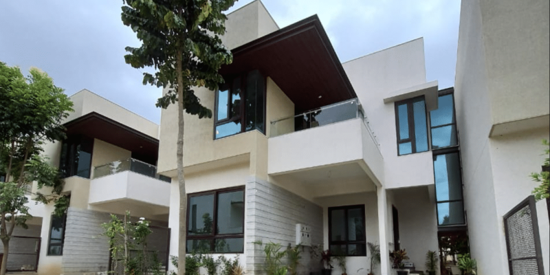 woodsong around the mangoes